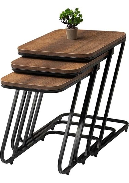 Mobilgen Barok Ceviz Pars Zigon