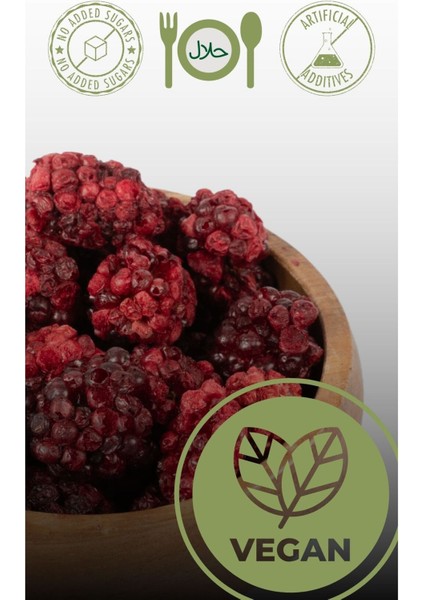Böğürtlen, Çilek Dondurularak Kurutulmuş Meyve Sağlıklı Atıştırmalık -2'li Paket Freeze Dried fiyatları