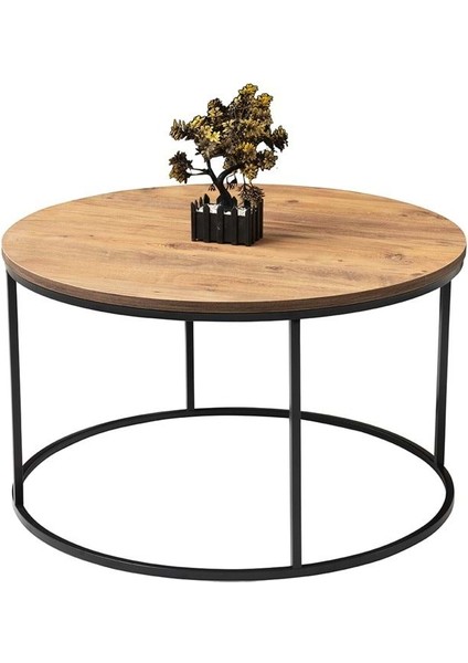 Diş Budak Dünya Orta Sehpa