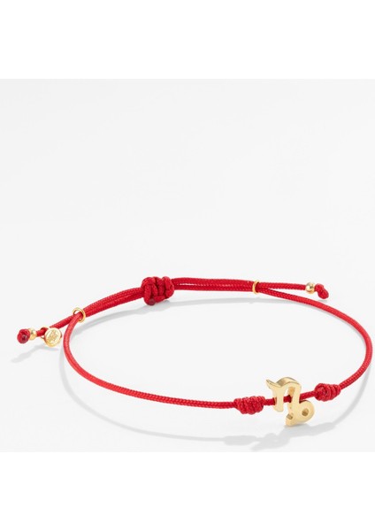Gümüş Oğlak Burcu Kırmızı Bileklik