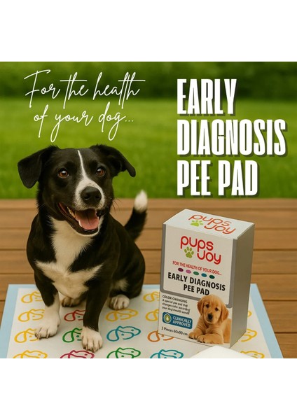 Köpekler Için Erken Teşhis Çiş Pedi DP-901 modelleri