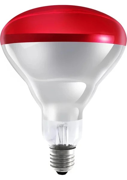 250 W Infrared Isıtıcı Lamba Kırmızı E27 Duy 24 Adet