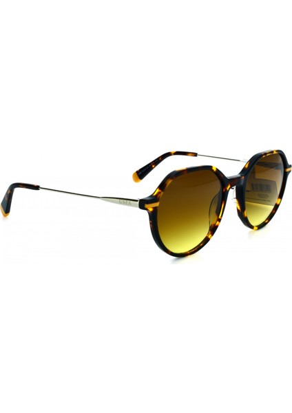 U.s Polo Köşeli Oval Kemik Güneş Gözlüğü USS0232 C2