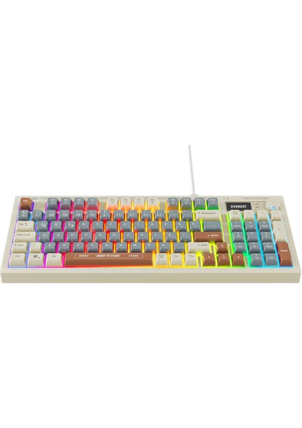 Everest Kb-79 Sılent Pro Gri Mavi/gri/kahve Sessiz Rgb Q Membrane Oyuncu Klavyesi modelleri