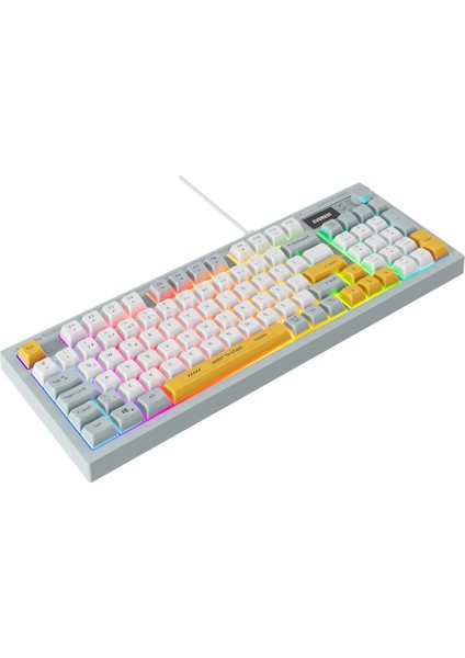 Everest Kb-79 Sılent Pro Mavi/beyaz/sarı Sessiz Rgb Q Membrane Oyuncu Klavyesi fiyatları