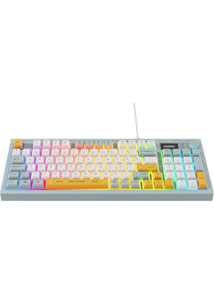 Everest Kb-79 Sılent Pro Mavi/beyaz/sarı Sessiz Rgb Q Membrane Oyuncu Klavyesi modelleri