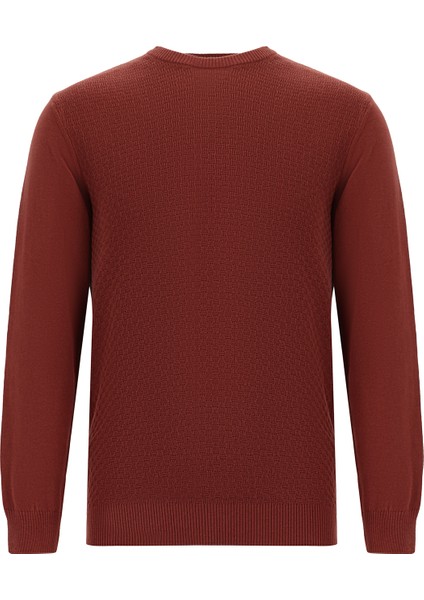 Bisiklet Yaka Regular Fit Desenli Pamuklu Kaşmirli Triko Kazak