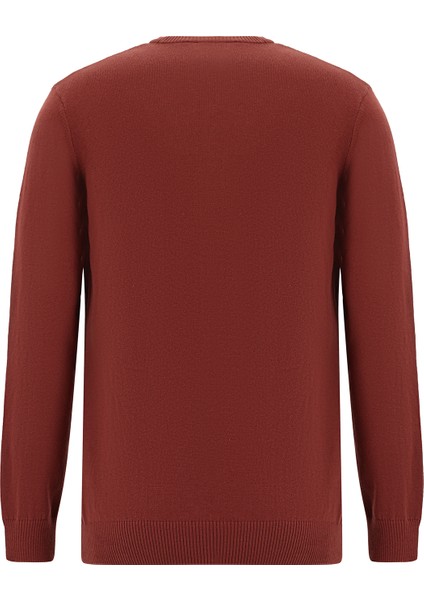 Bisiklet Yaka Regular Fit Desenli Pamuklu Kaşmirli Triko Kazak fiyatları