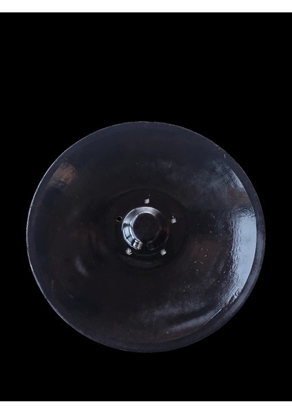 Doğanlar Disk Sacı 610 Düz