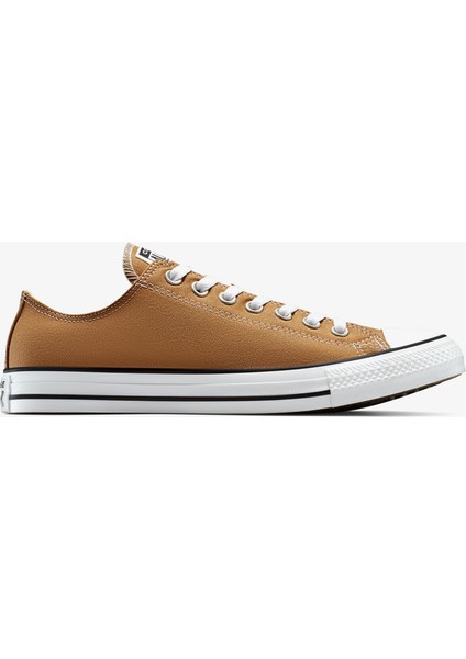 CHUCK TAYLOR ALL STAR Kahverengi Kadın Sneaker