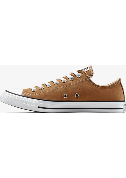 CHUCK TAYLOR ALL STAR Kahverengi Kadın Sneaker fırsatları