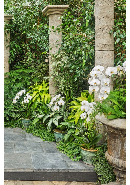 Orkideli Taş Sütunlu Bahçe Duvar Kağıdı modelleri