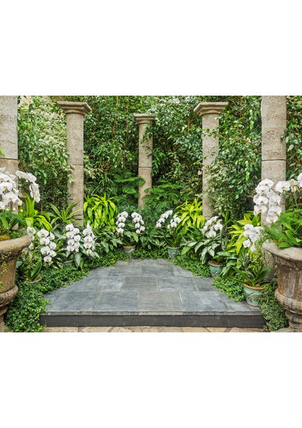 Orkideli Taş Sütunlu Bahçe Duvar Kağıdı fırsatları