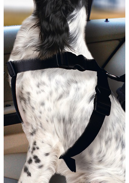 Karlıe Köpek Araç Içi Göğüs Tasması Siyah (68-86) fiyatları