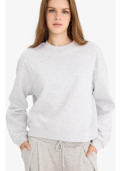 Regular Fit Bisiklet Yaka Kalın Kumaş Sweatshirt D6645AX25WN