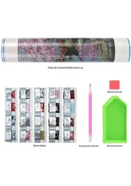 Hı Stone 5d Elmas Boncuk Taş Işleme Mozaik Goblen Kit 50X40CM GC84275 fırsatları