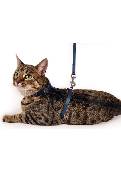 Karlıe Kedi Göğüs Tasması Mavi 110 fiyatları