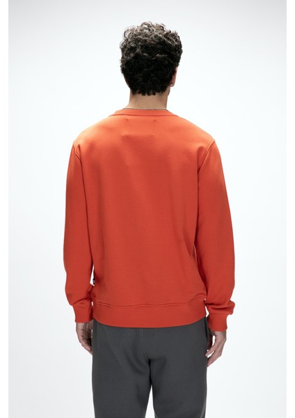 Mountain Tarçın Crewneck Erkek Baskılı Sweatshirt modelleri