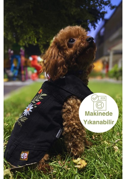 Siyah Köpek Kot Ceket, Jean Köpek Kıyafeti Yeni Sezon fiyatları