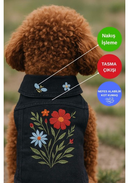 Siyah Köpek Kot Ceket, Jean Köpek Kıyafeti Yeni Sezon modelleri