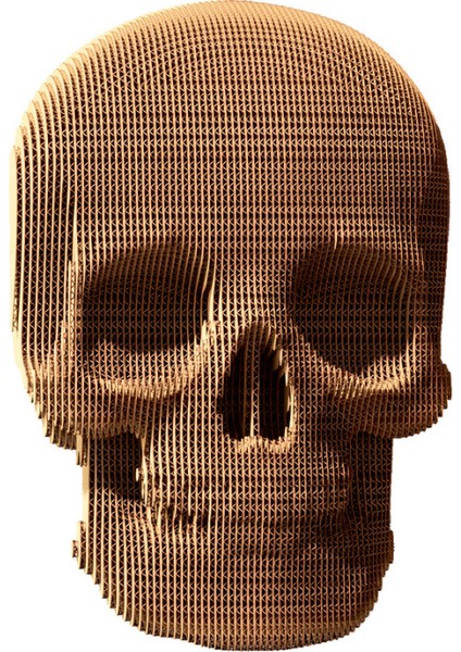 3D Puzzle - Skull fırsatları