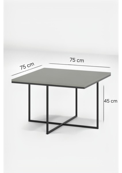 4+1 Siyah Ayak Bronz Ayna Orta Sehpa modelleri