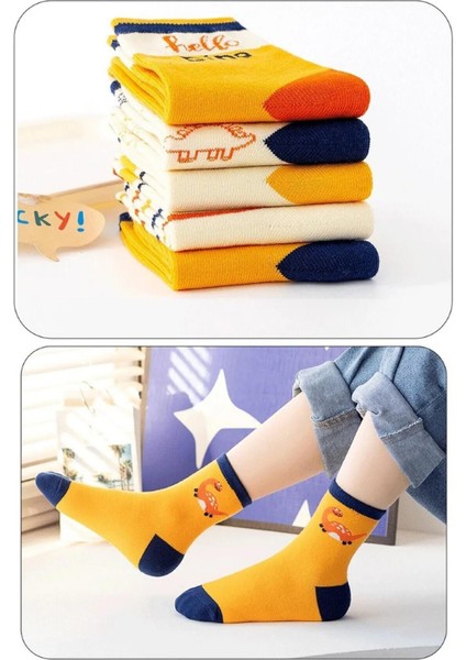 5 Çift Dinazor Desenli Bebek Çorap ve Çocuk Çorabı Özel Dinozor Serisi