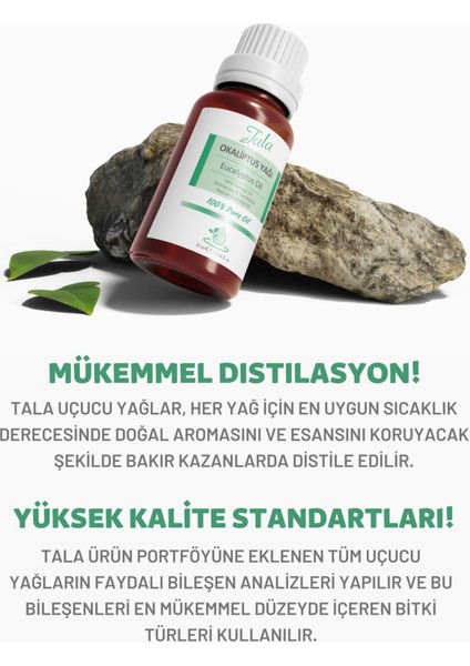 Saf ve Doğal Okaliptus Uçucu Yağı 10 ml – Ferahlatıcı, Rahatlatıcı ve Doğal Aromaterapi Etkisi modelleri