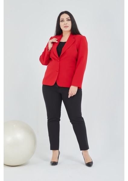 Atelier Kadın Büyük Beden Düğmeli Klasik Ceket fiyatları