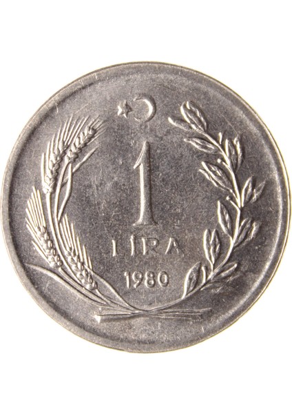 1 Lira - 1980 - Çil (TCM13) modelleri
