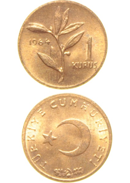 1 Kuruş - 1964 - Çil (Tcm4)
