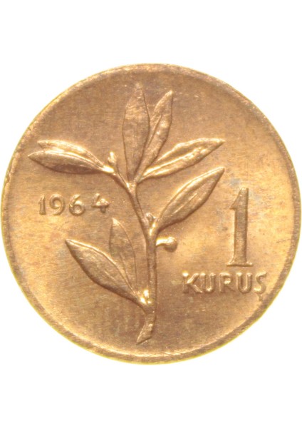 1 Kuruş - 1964 - Çil (Tcm4) modelleri