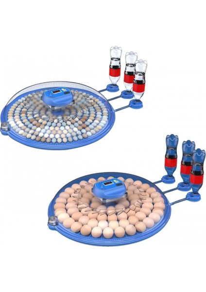 80 Tavuk 240 Kuş Yumurta Kapasiteli Çift Viyollü Kuluçka Makinesi - Kaz, Ördek, Tavuk, Bıldırcın Için