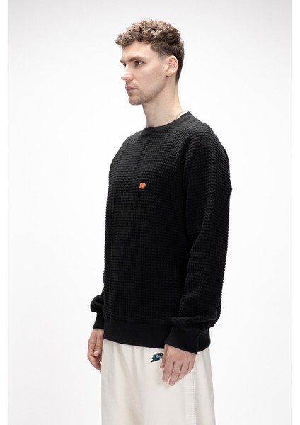 Diez Si̇yah Crewneck Erkek Sweatshirt fiyatları