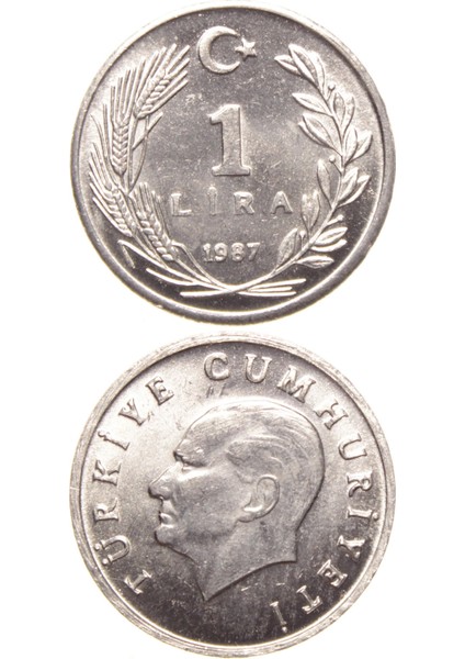 1 Lira - 1987 - Çil (TCM14)