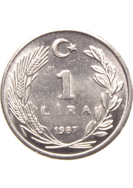 1 Lira - 1987 - Çil (TCM14) fiyatları
