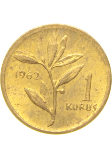1 Kuruş - 1962 - Çil (Tcm2) modelleri