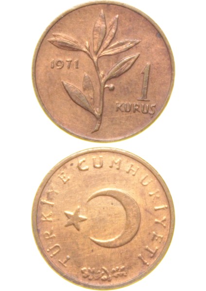 1 Kuruş - 1971 - Çil (Tcm7)