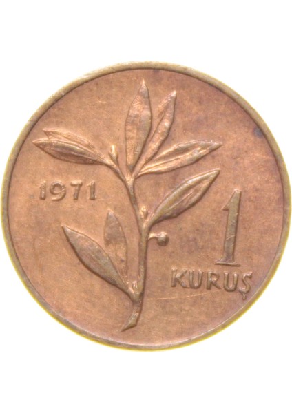 1 Kuruş - 1971 - Çil (Tcm7) fiyatları