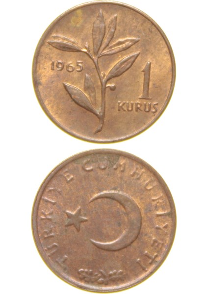 1 Kuruş - 1965 - Çil (Tcm5)