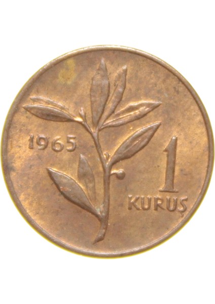1 Kuruş - 1965 - Çil (Tcm5) modelleri