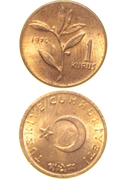 1 Kuruş - 1974 - Çil (Tcm9)