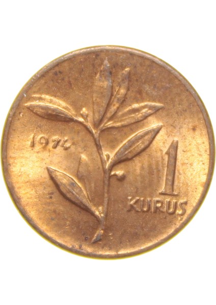 1 Kuruş - 1974 - Çil (Tcm9) modelleri