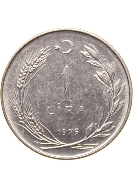 1 Lira - 1979 - Çil (TCM12) modelleri