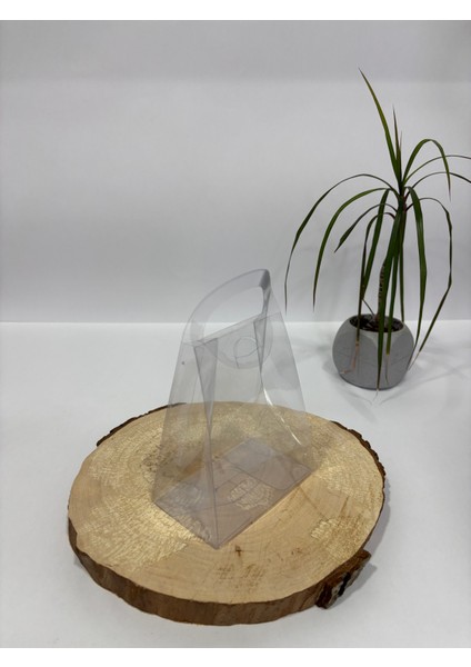 12X10X6 Şeffaf Asetat Çanta [100 Adet Demonte ]