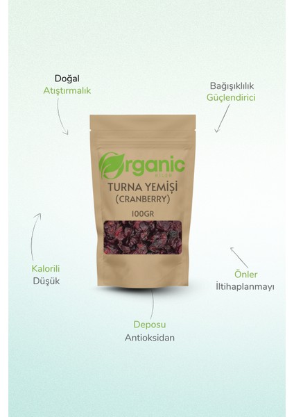 Doğal Katkısız Turna Yemişi ( Cranberry ) 100gr | Antioksidan Zengin Kurutulmuş Meyve fiyatları