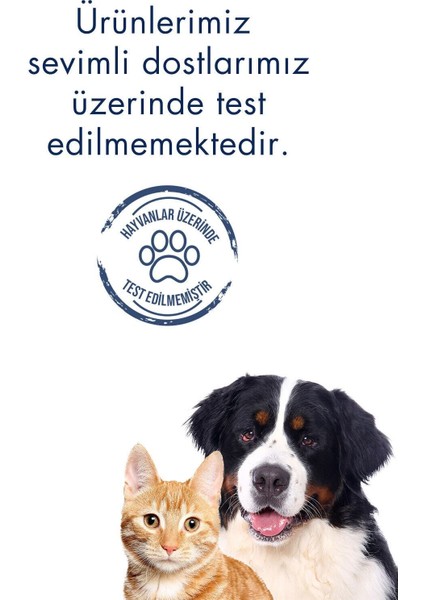 Herbal SPF 50 Güneş Kremi 50 ml – Tüm Cilt Tiplerine Uygun, Mineral ve Organik Filtreli, Suya Dayanıklı modelleri