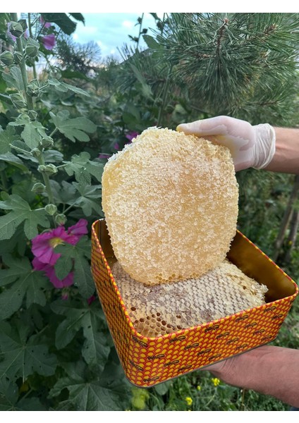 Karakovan Petek Bal 2 Kilogram fiyatları