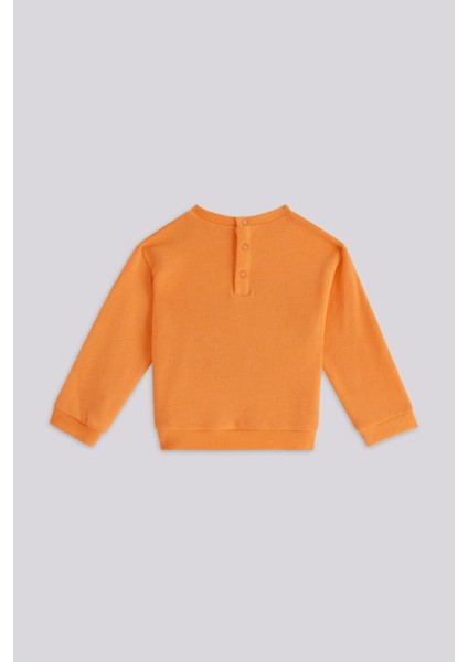 Bg Store Kız Bebek Sweatshirt modelleri