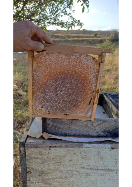 Petek Çiçek Balı 3 Kilogram fiyatları